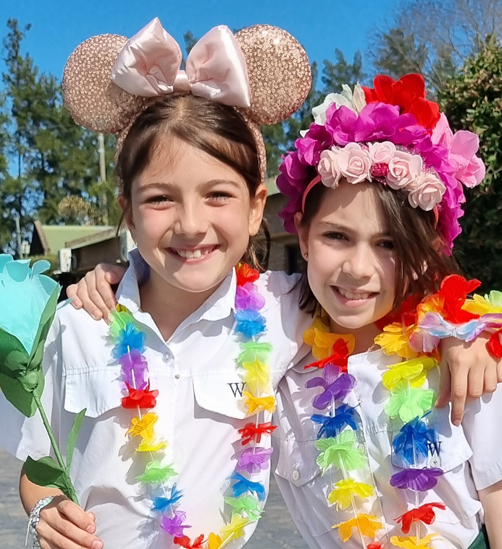 Estudiantes de primaria en un aula